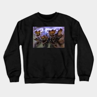 Monarda Citriodora Crewneck Sweatshirt